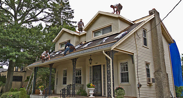 Best Roof Maintenance Services  in Snow Hill, MD